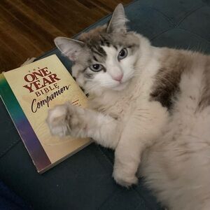 Meet your Posher, Katherine and C.C.